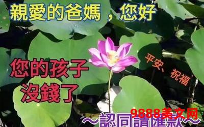 幸福不远了小说(幸福临近了)